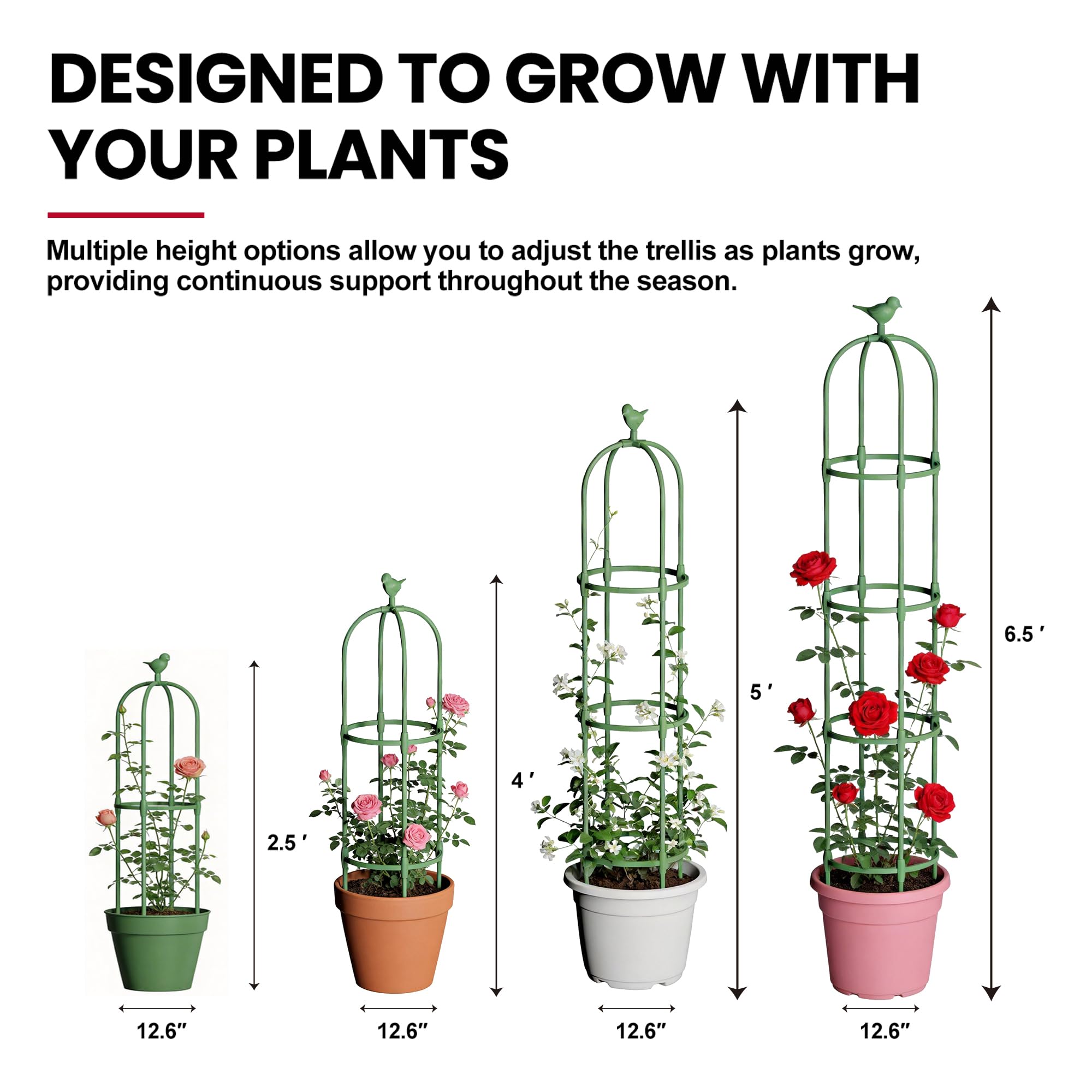 ZATRO adjustable height trellis positions adapt as plants grow for rose and vine support.
