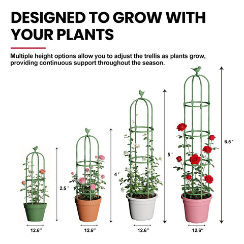 ZATRO adjustable height trellis positions adapt as plants grow for rose and vine support.