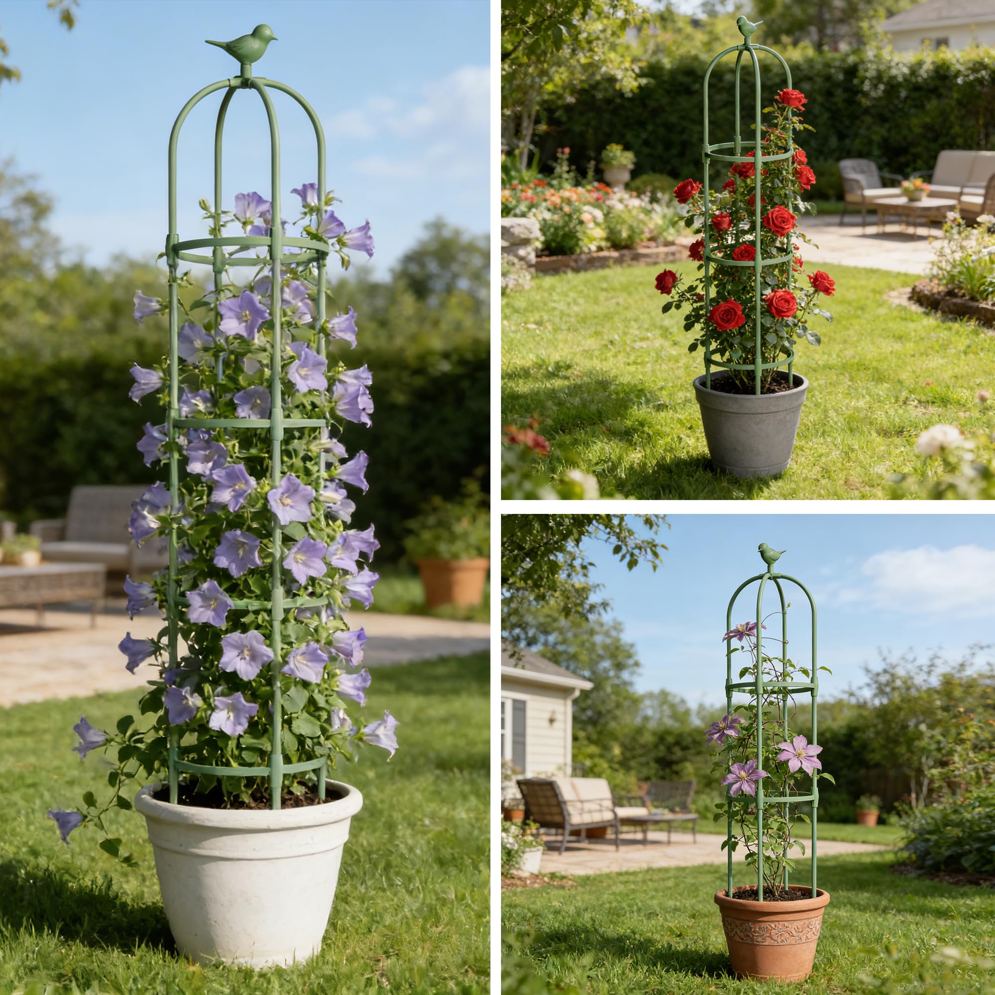 ZATRO decorative garden trellis adds vertical interest to borders, patios, or planters.