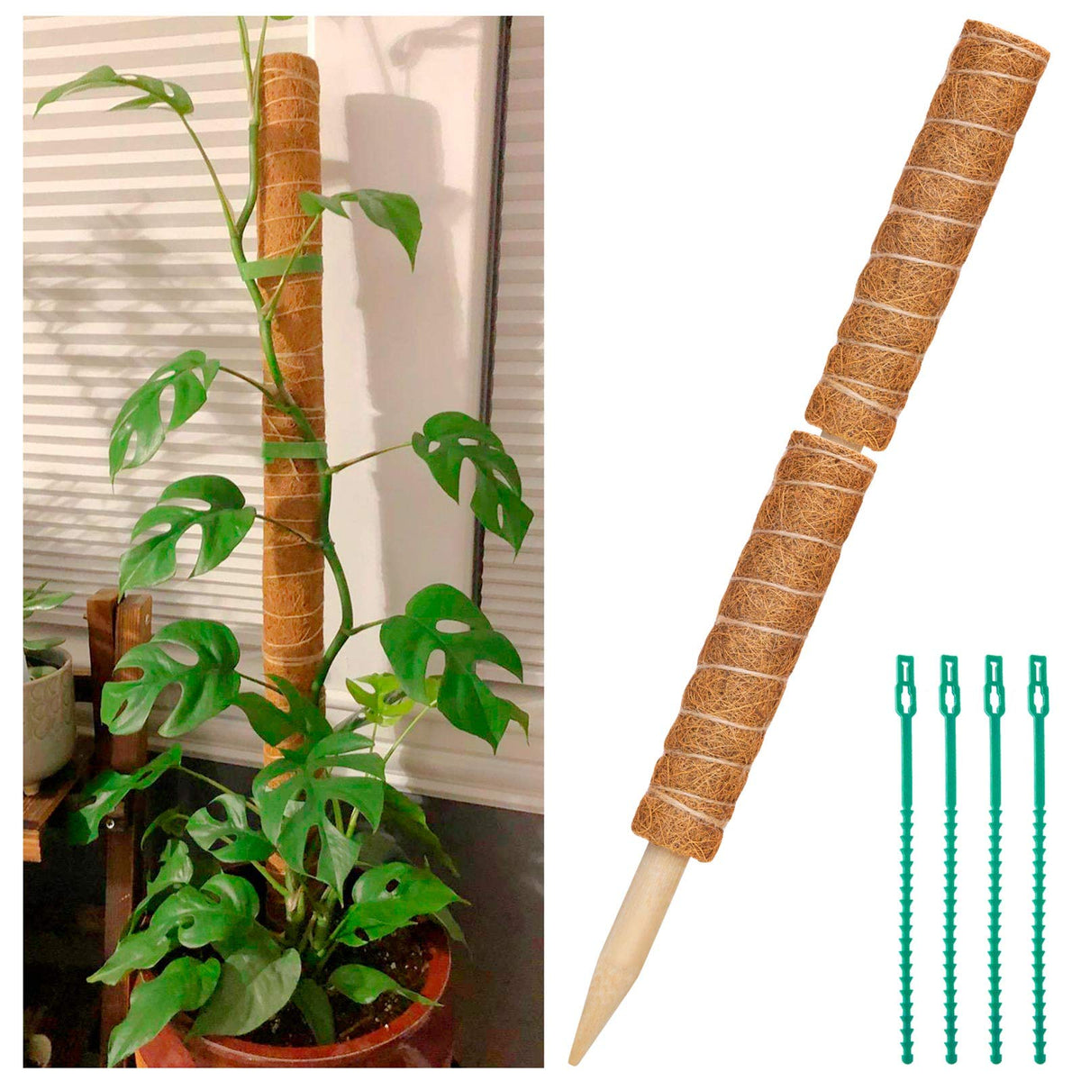 ZAUGONTW coir moss pole set for vertical plant support and easy installation.