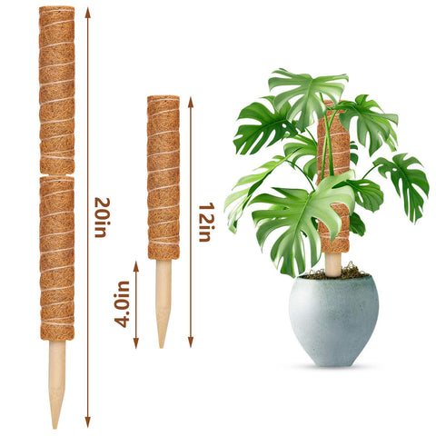 ZAUGONTW coir moss pole extension design demonstrates adjustable length for varied plant heights.