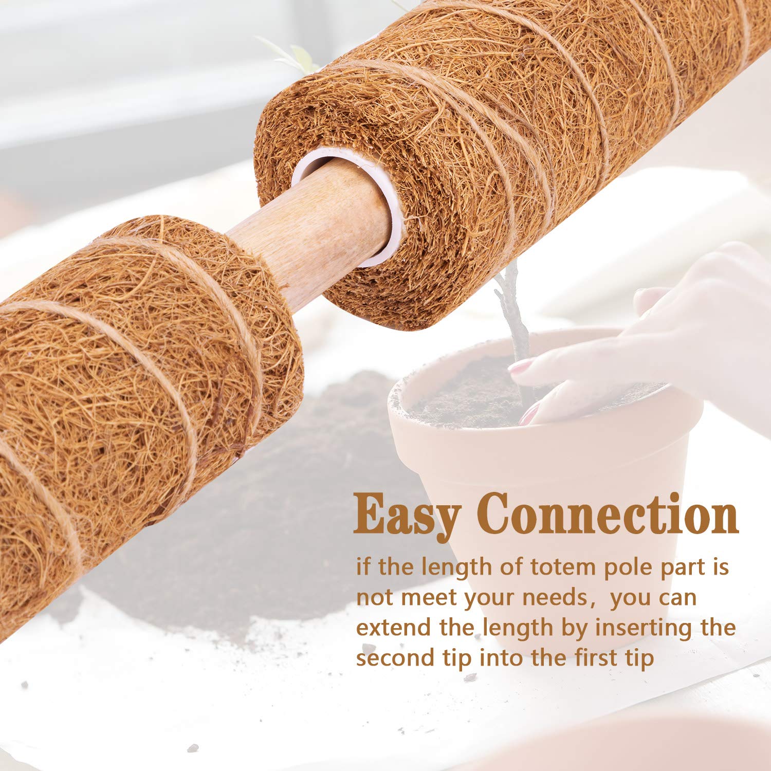 ZAUGONTW coir moss pole and adjustable ties keep climbing plants upright and tidy.