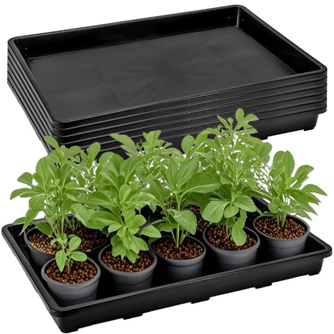 ZAVOOS 6-pack seedling trays top view for versatile indoor germination
