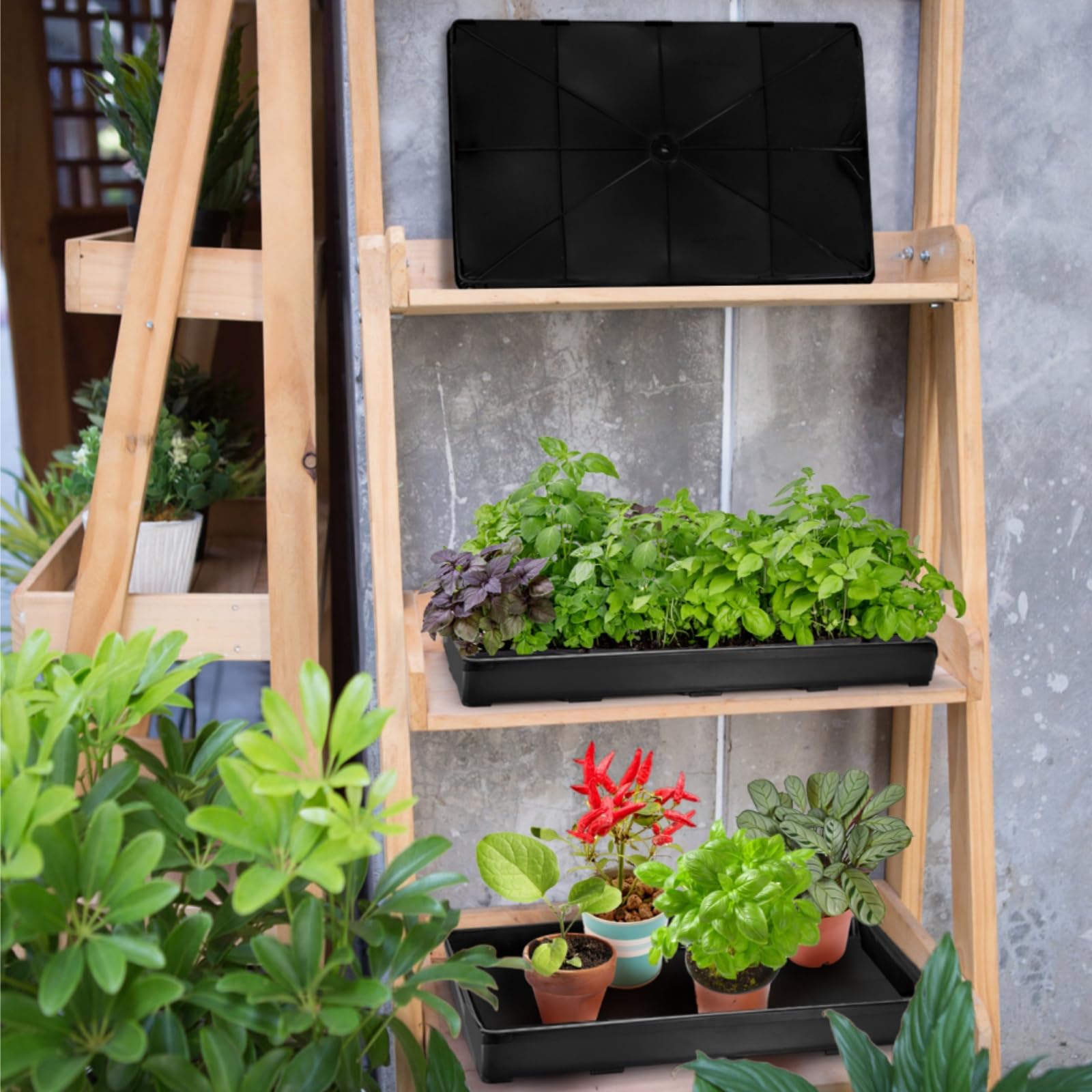 ZAVOOS easy-watering seedling tray flat lay supports controlled hydration