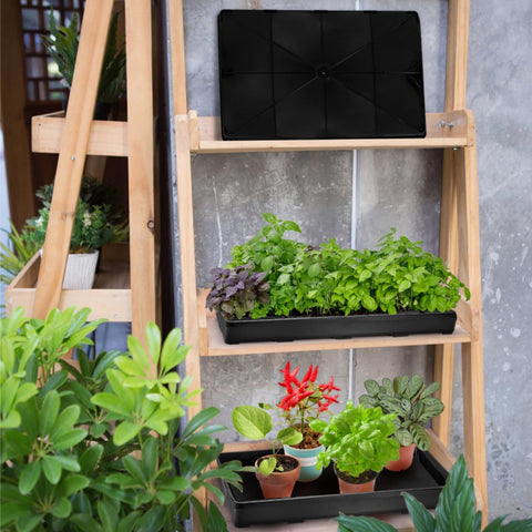 ZAVOOS easy-watering seedling tray flat lay supports controlled hydration