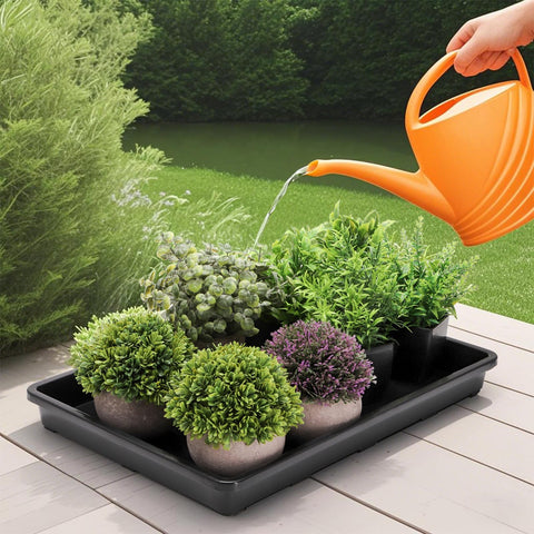 ZAVOOS indoor garden seed-start tray setup ready for home use