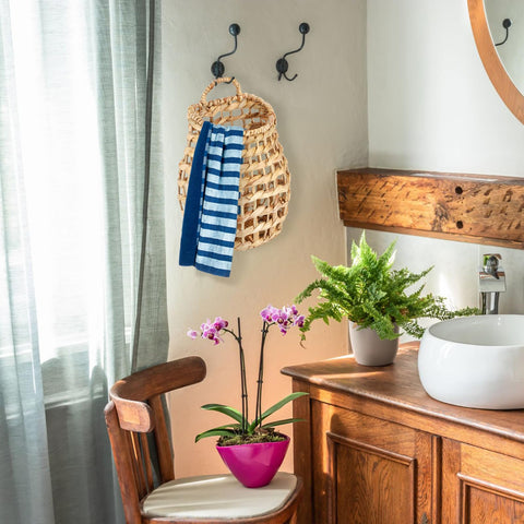 ZAVOOS versatile wall basket for kitchen, doorway, or display.