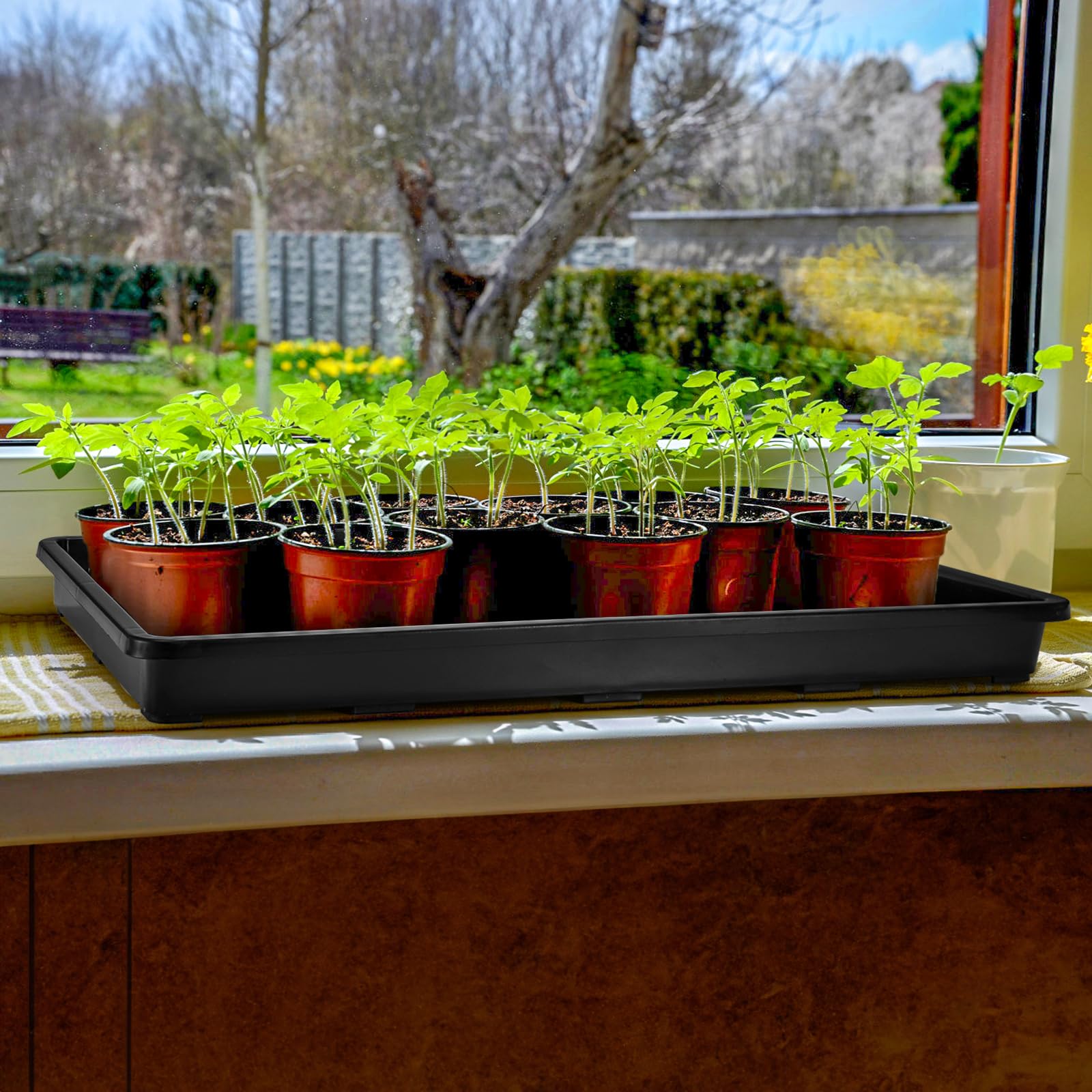 ZAVOOS wide seed-start tray side view accommodates a variety of seedlings