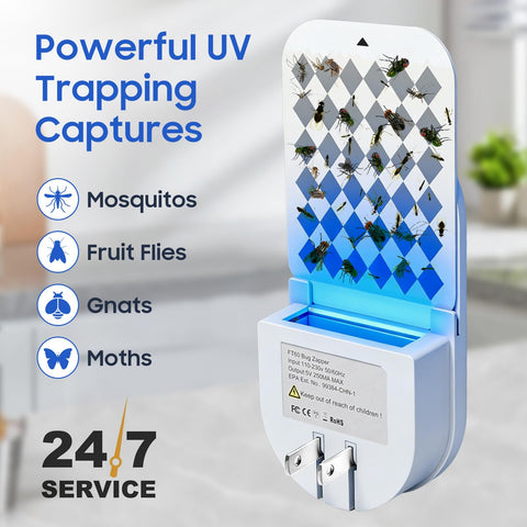 ZAYMAN UV blue light attractor lures flies and gnats at night.