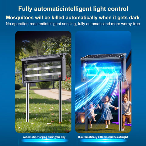 ZBNMY purple light mode for ambience and insect attraction