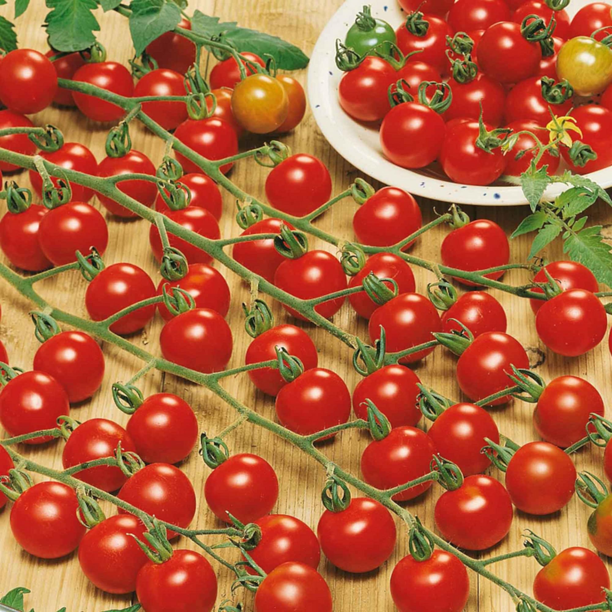 ZEshops Waterfall Tomato Seeds produce delicious, decorative fruits for home gardens.