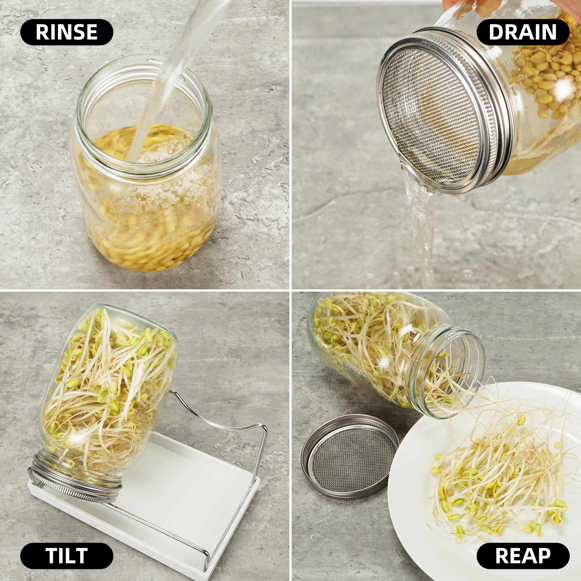 Zeato Sprouting Jar Kit sprouting tray keeps seeds organized for batch sprouting.