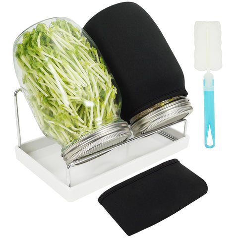 Zeato Sprouting Jar Kit wide-mouth 32oz jar for easy at-home sprouting.