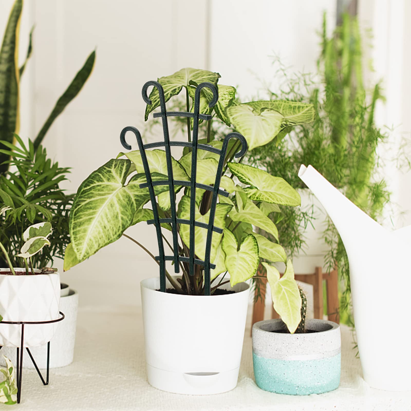 ZEAYEA suitable for indoor and outdoor use