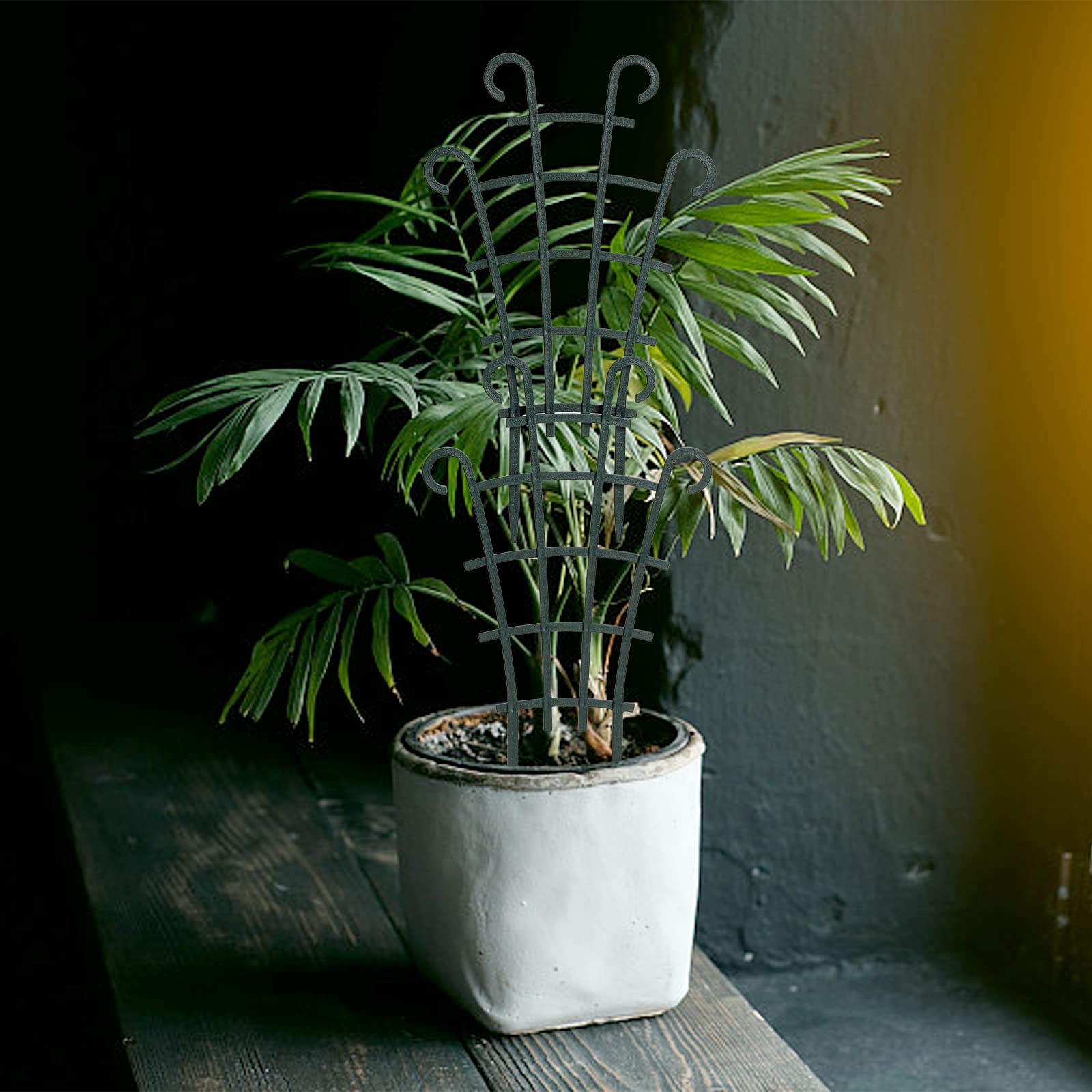 ZEAYEA mini trellis for vines in pots