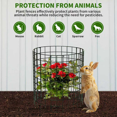 ZEAZEA rose protection cage shields blooms from nibblers