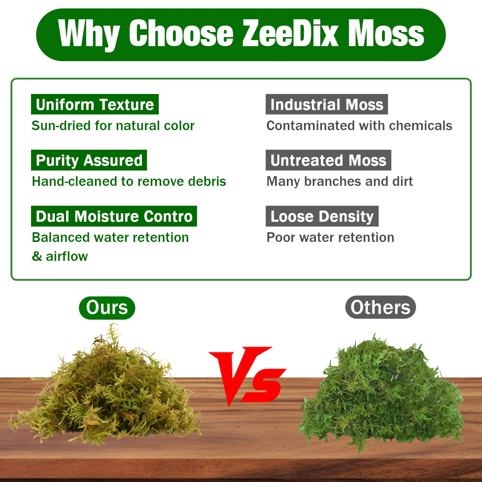 ZeeDix forest moss in a terrarium providing natural humidity.