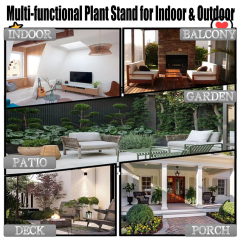 ZEECER multipurpose plant display elevates plants or small objects with style.