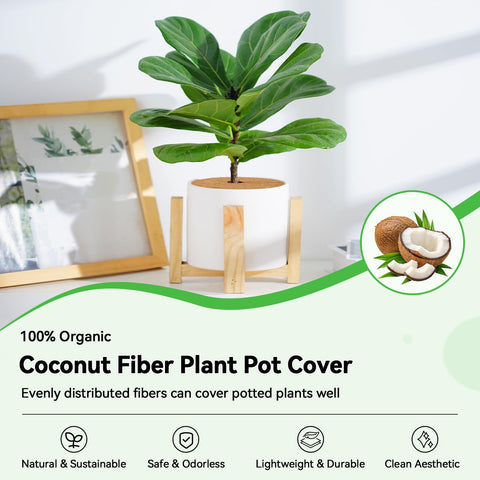 ZeeDix 11.8-inch coco coir tree ring mat supports soil moisture around roots.