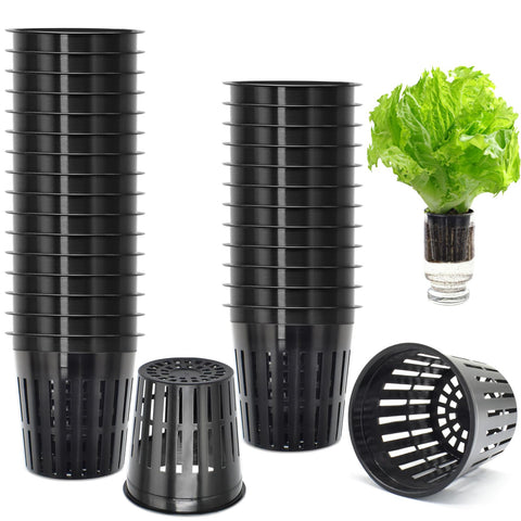 ZeeDix 2-inch net pot close-up shows durable UV-resistant plastic for hydroponics.