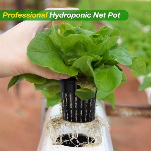 ZeeDix 2-inch net pot with dimensions matching seed starting needs.