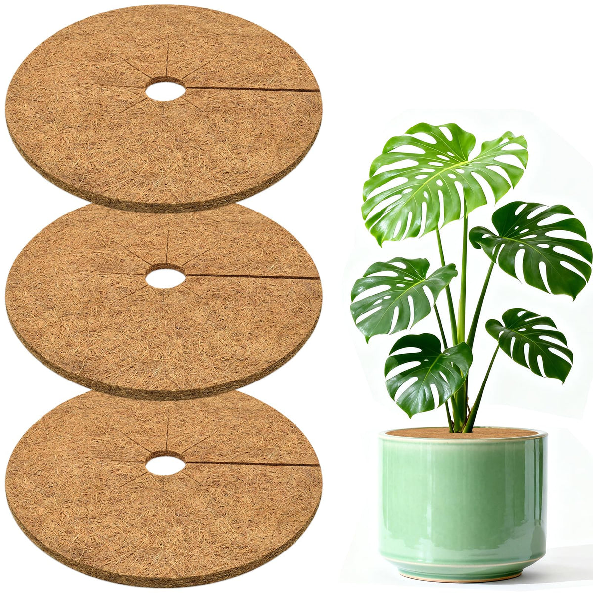 ZeeDix 3 pack coconut fiber mulch rings enhance pots with natural moisture retention