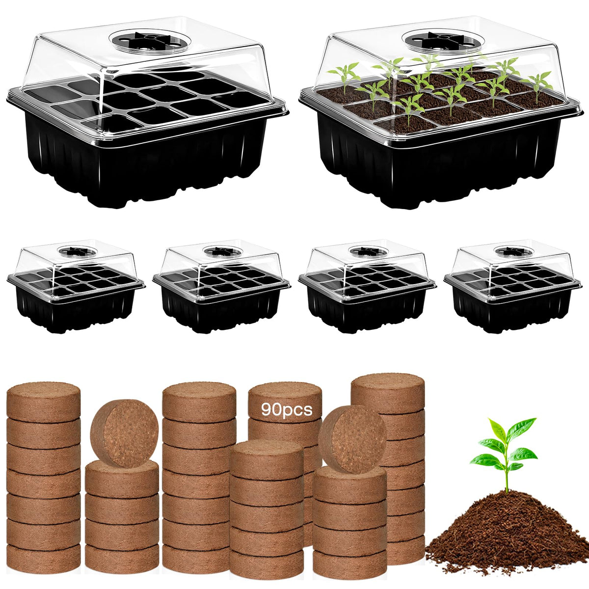 ZeeDix 6-tray seed starter set with organized cells supports easy transplanting.