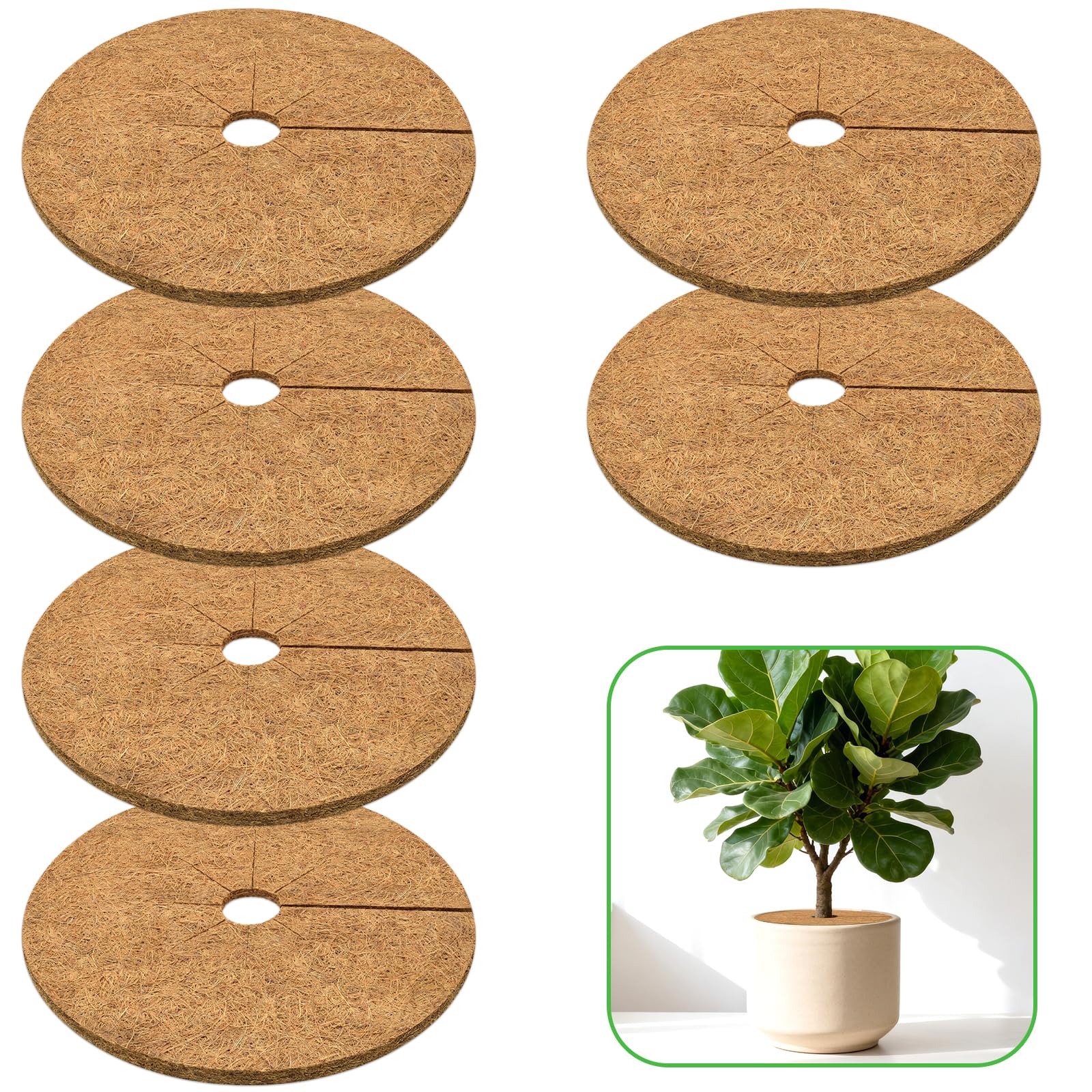 ZeeDix 6-pack mulch rings around pot to help retain moisture and protect roots.