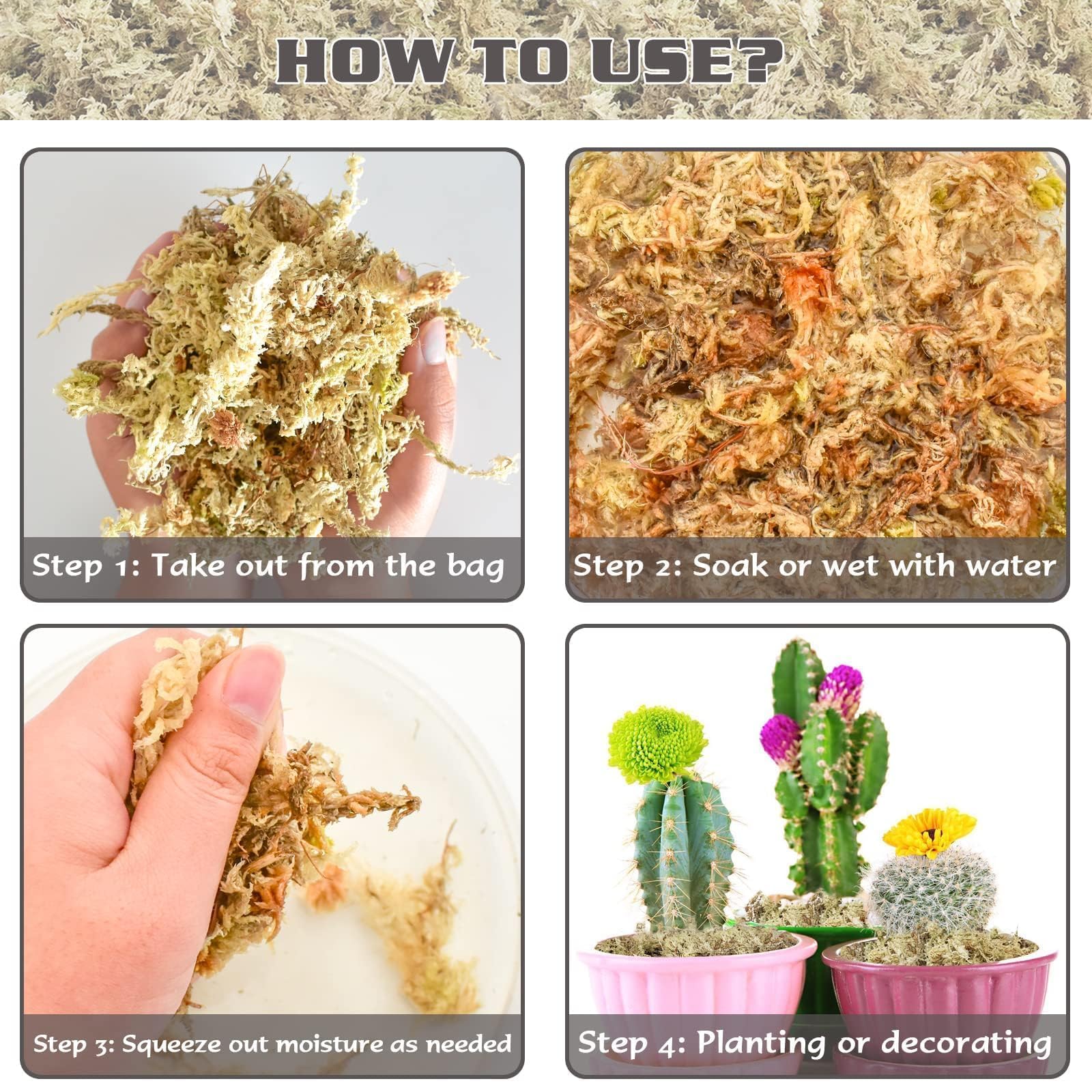 ZeeDix sphagnum moss for carnivorous plants helps moisture balance for Venus flytraps and sundews