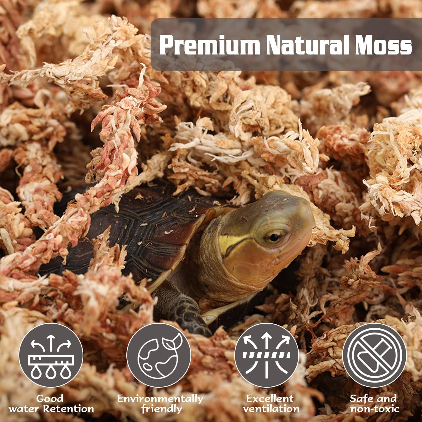 ZeeDix orchid moss provides breathable medium for Phalaenopsis and other orchids