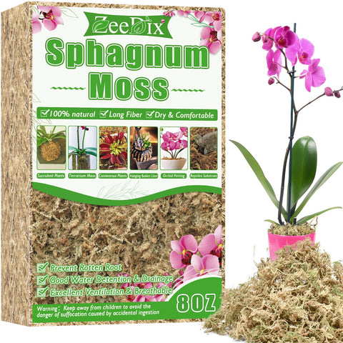 ZeeDix 8oz sphagnum moss for small pots enhances moisture retention and root health