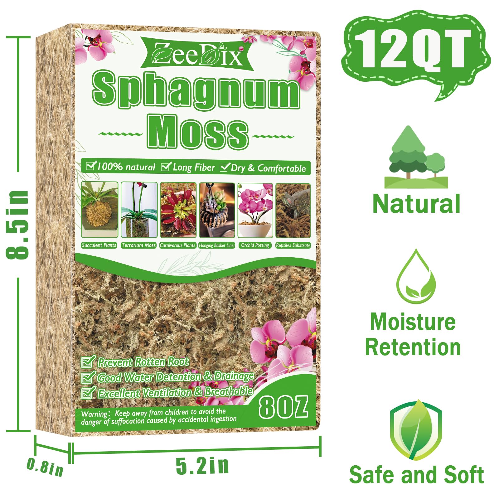 ZeeDix sphagnum moss terrarium use supports natural drainage and plant comfort