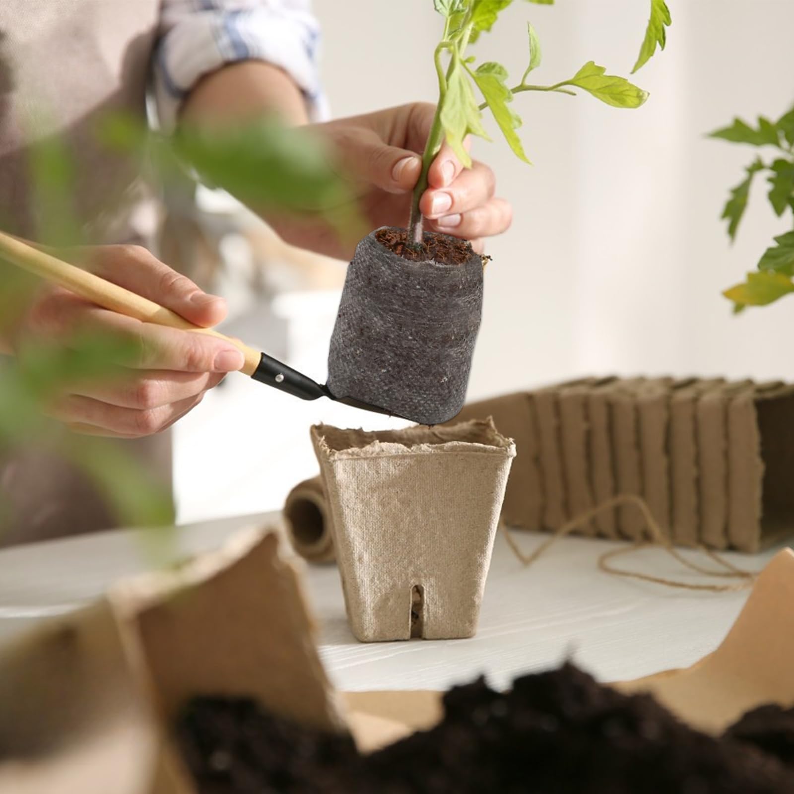 ZeeDix all-in-one seed starting medium for home gardens