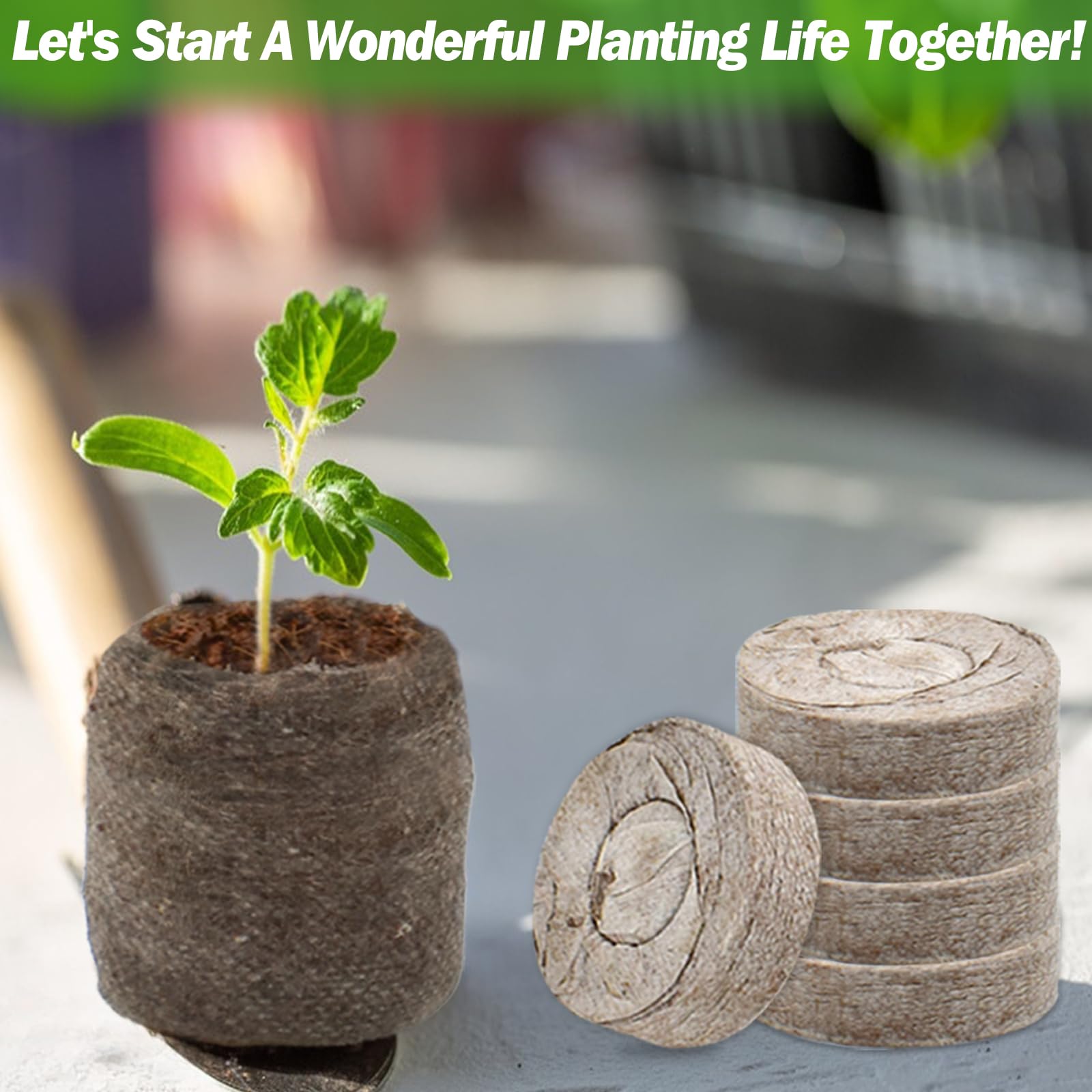 ZeeDix versatile peat pellets for vegetables, herbs and flowers