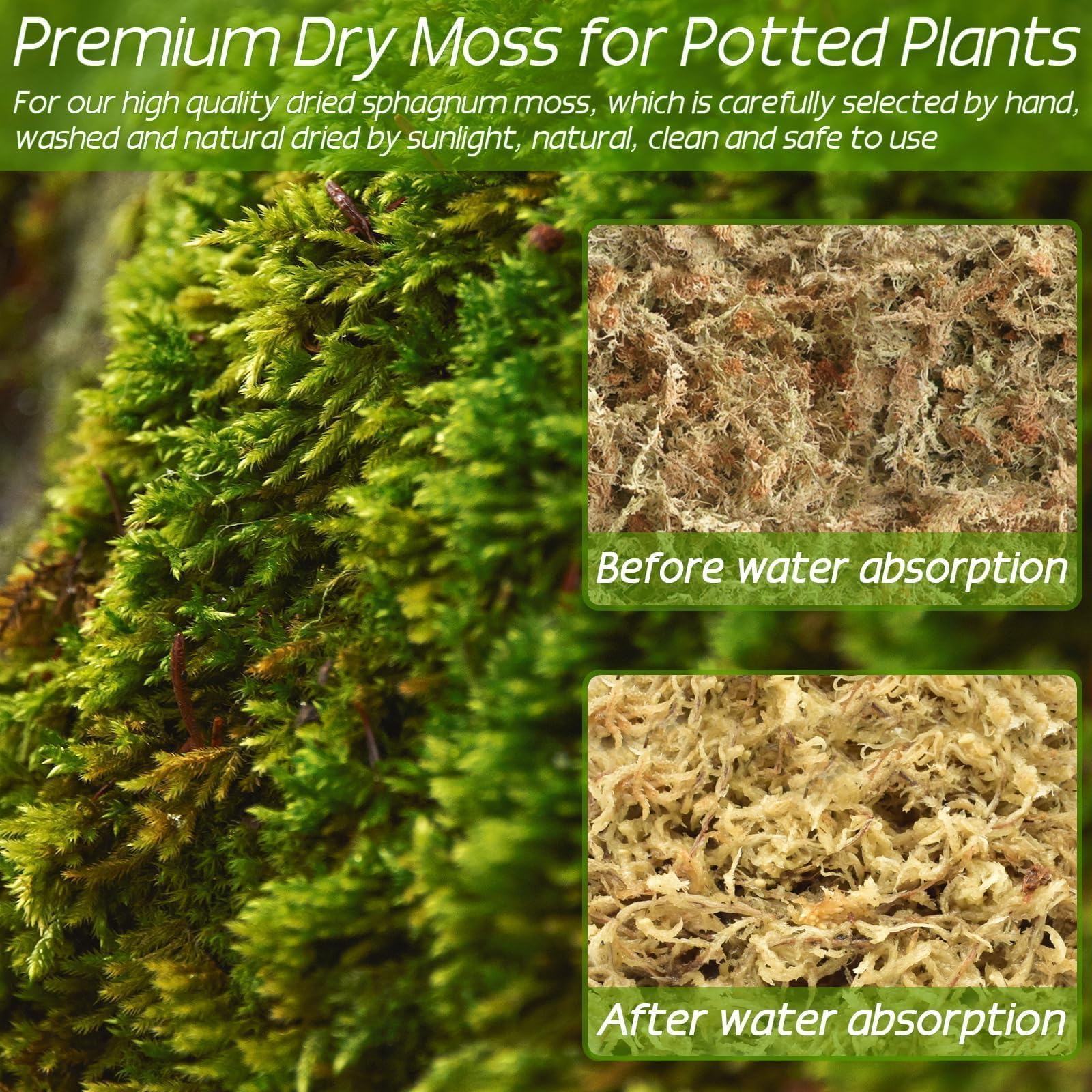 ZeeDix moss substrate for carnivorous plants like Venus flytraps and pitcher plants.