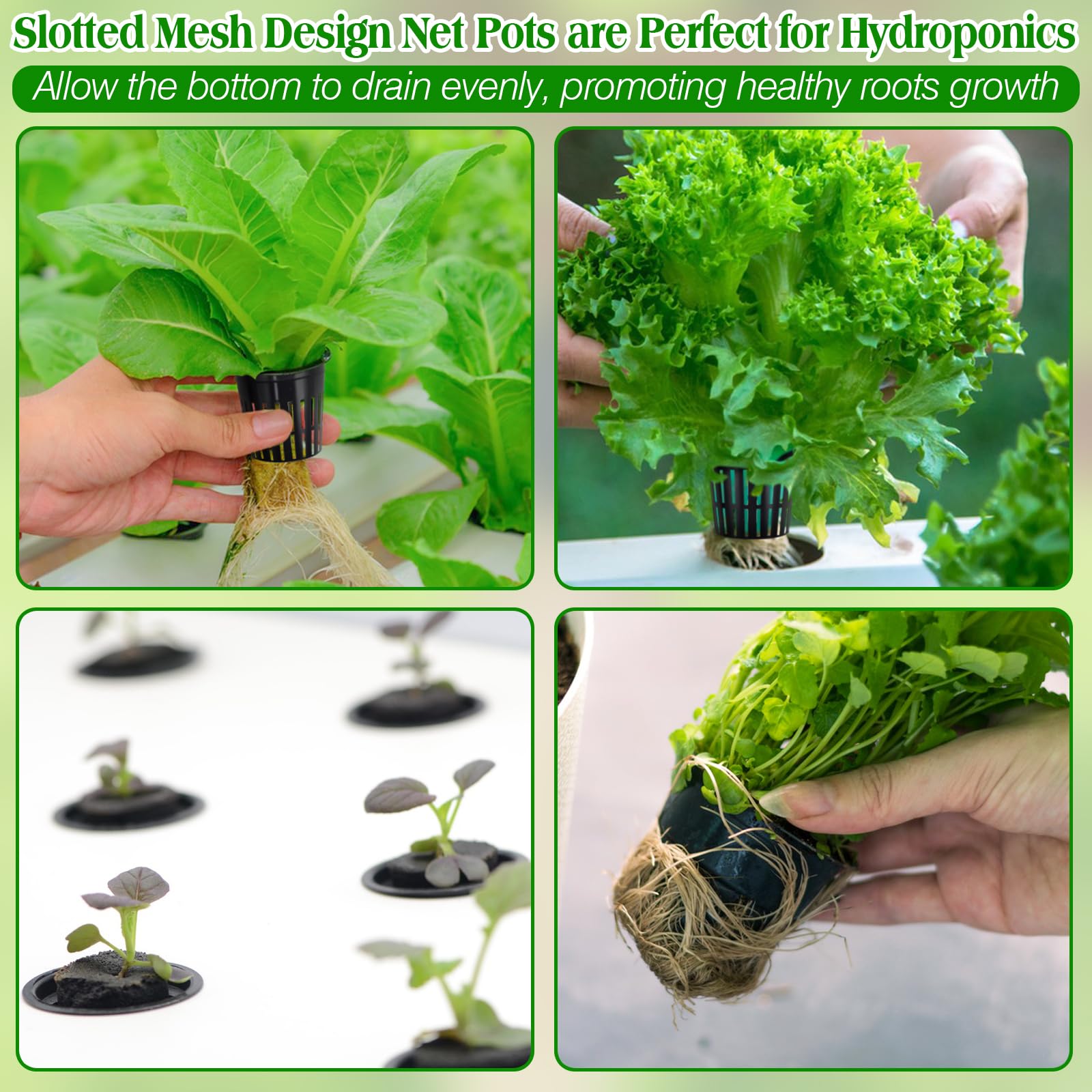 ZeeDix net pot with clay pebbles setup for seed-to-harvest growth.