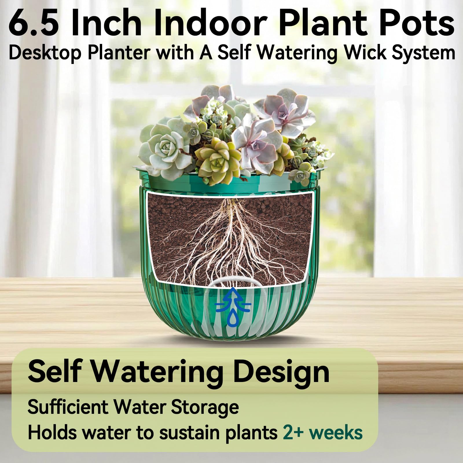ZeeDix included clay pebbles create air pockets for roots.