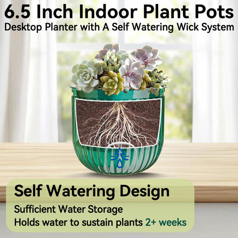 ZeeDix included clay pebbles create air pockets for roots.