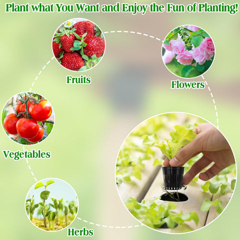 ZeeDix net pots used for cloning with breathable root environment.