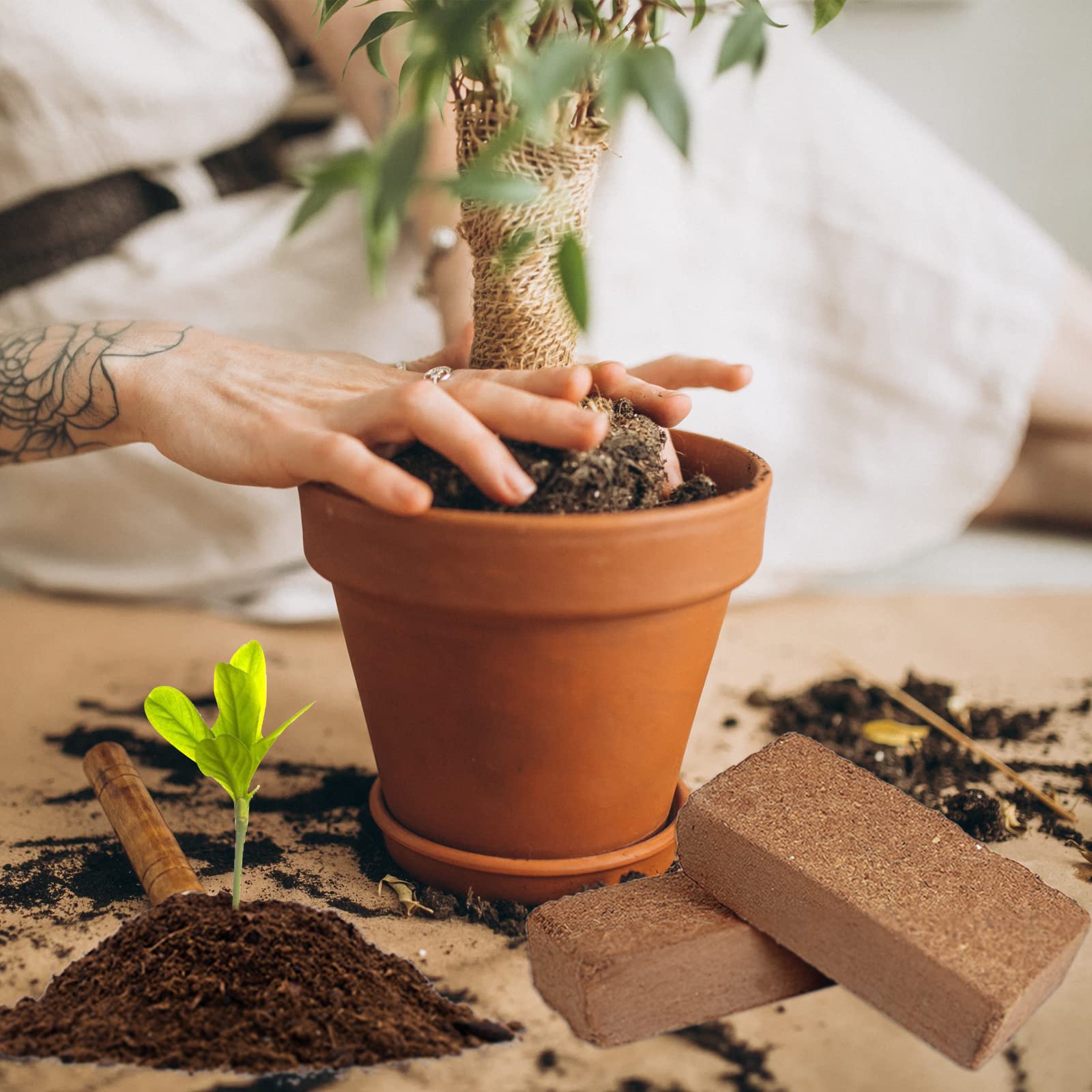 ZeeDix coco coir brick 8-pack promotes healthy root support and drainage.