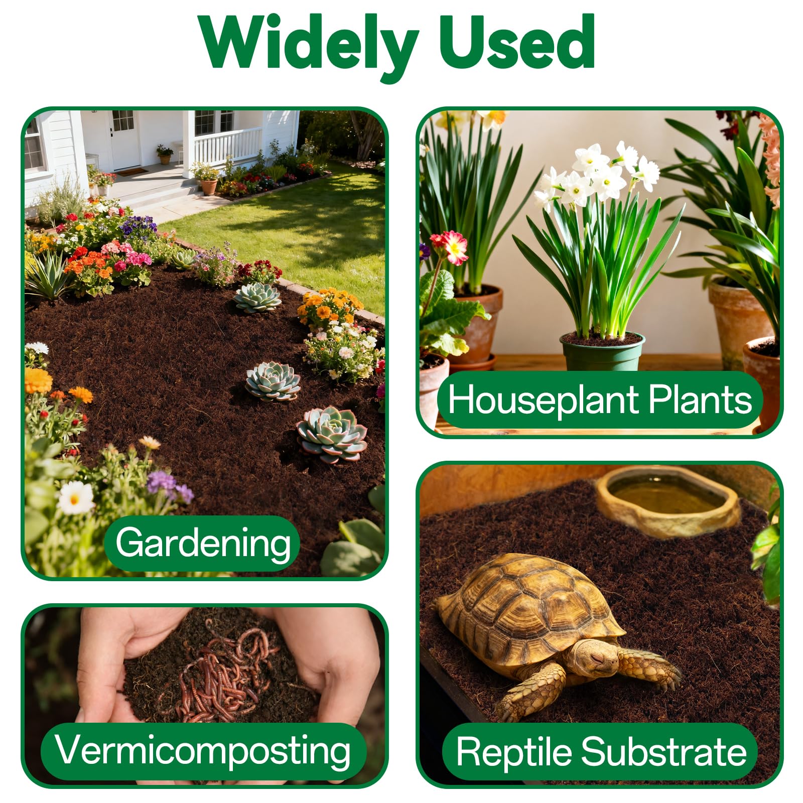 ZeeDix coco coir brick ideal for seed starting and containers
