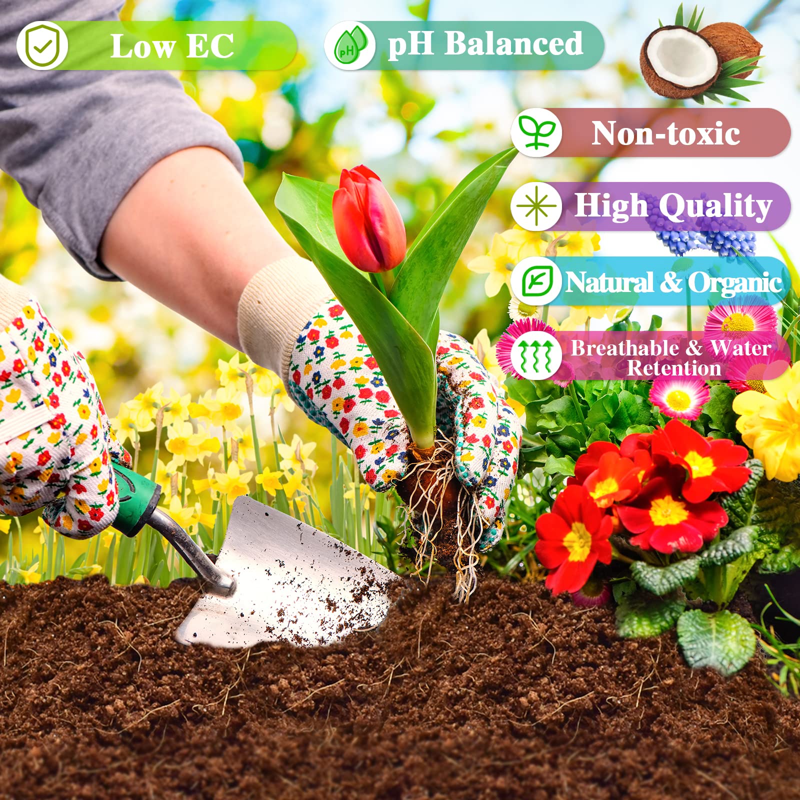 ZeeDix coconut coir bricks easily mix into soil for fast setup.