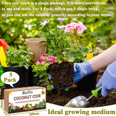ZeeDix coconut coir bricks expansion demonstrates high water absorption for seedlings.