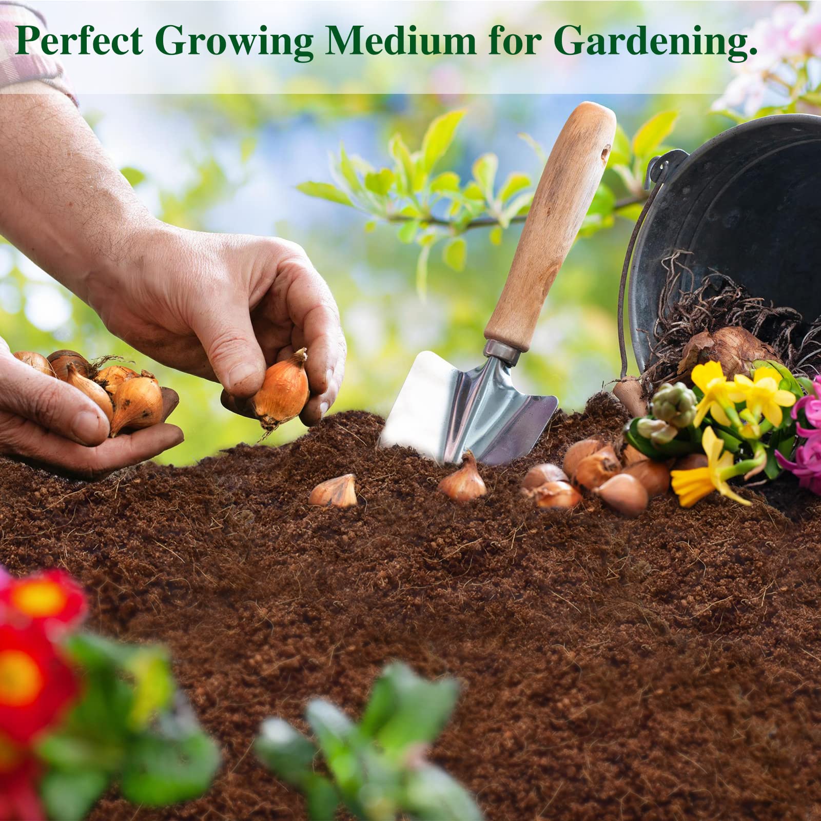 ZeeDix coconut coir bricks promote robust root development with airy moisture balance.