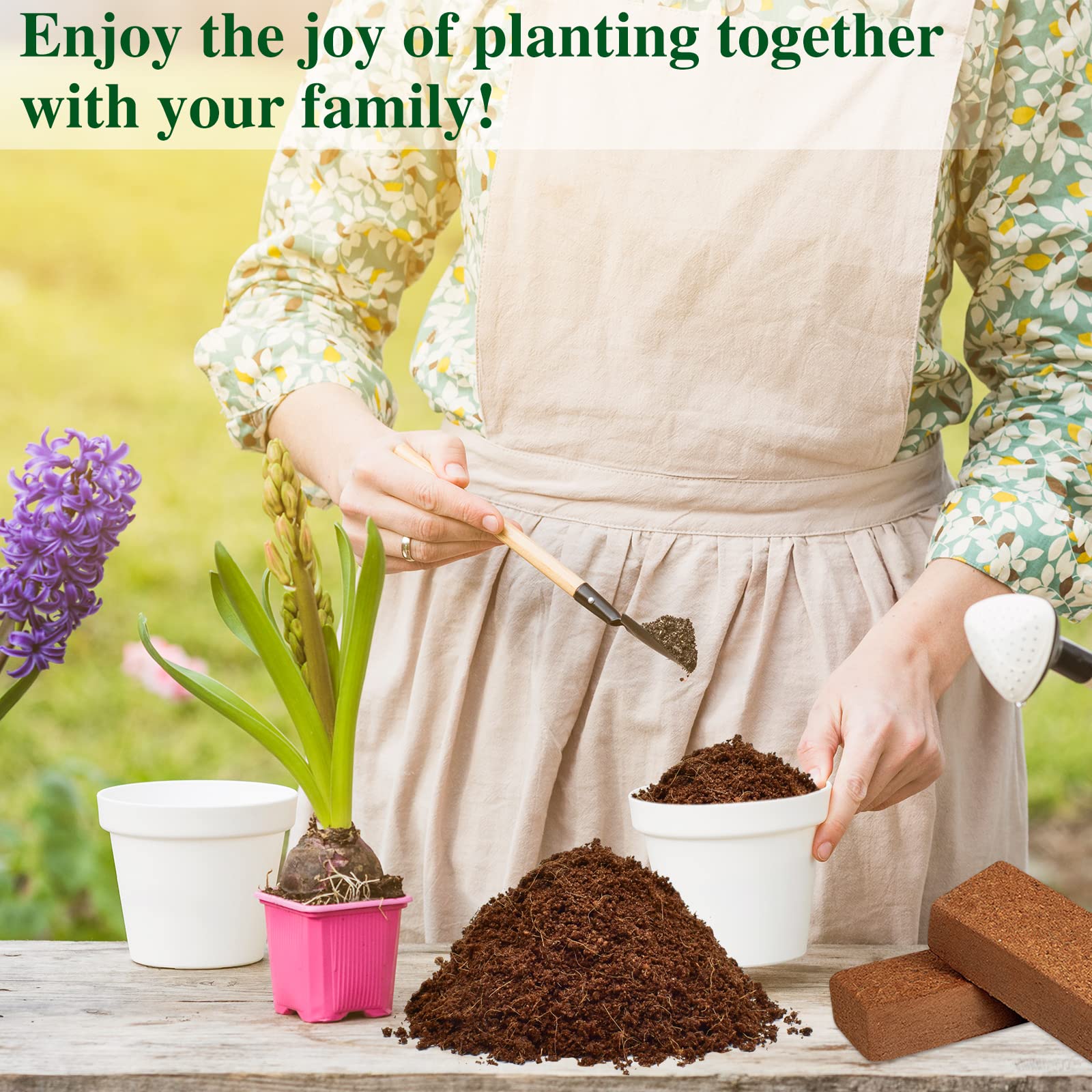 ZeeDix coconut coir bricks offer sustainable, reusable substrate for herbs and greens.