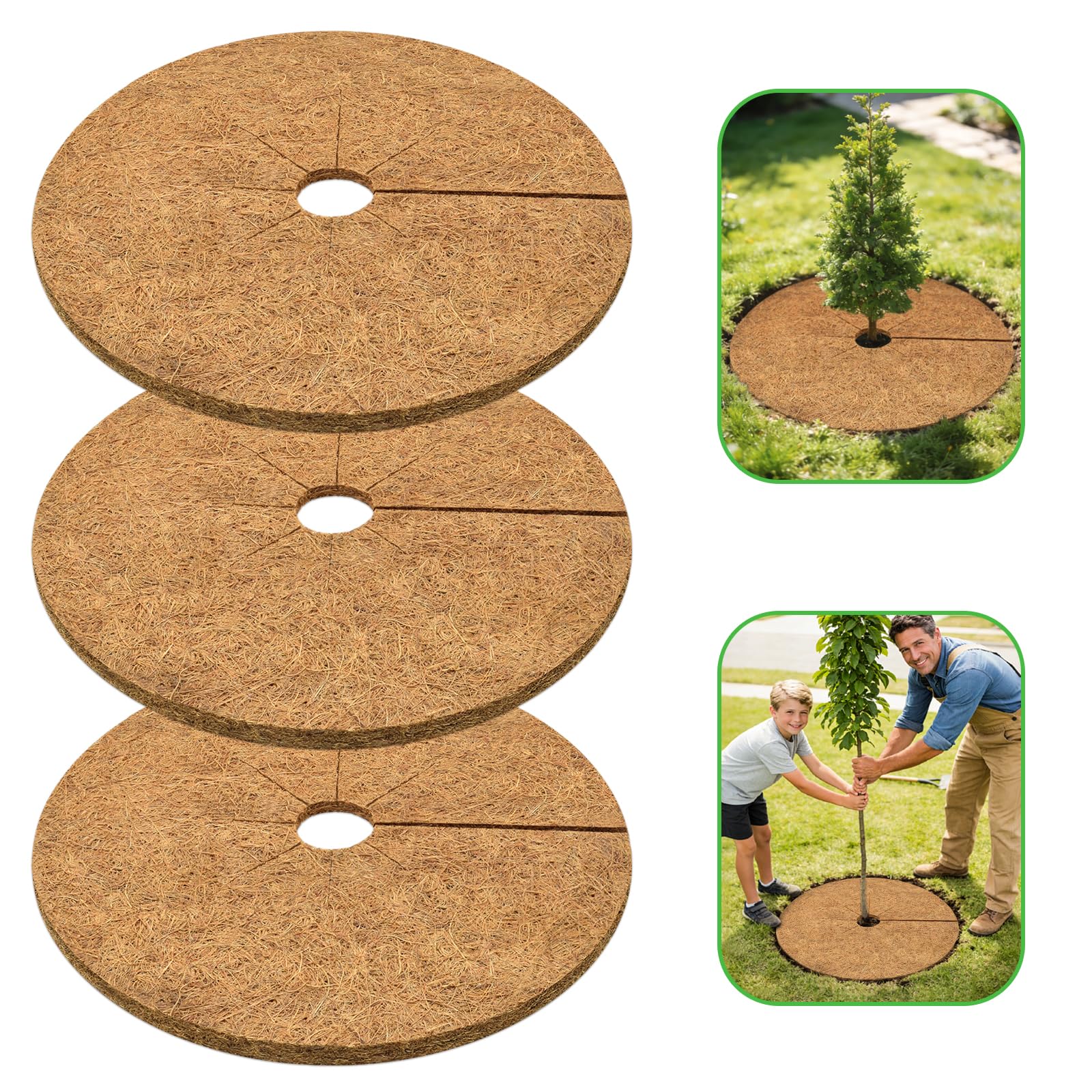 ZeeDix coconut fiber mulch ring on a young tree, promoting tidy roots and weed suppression.