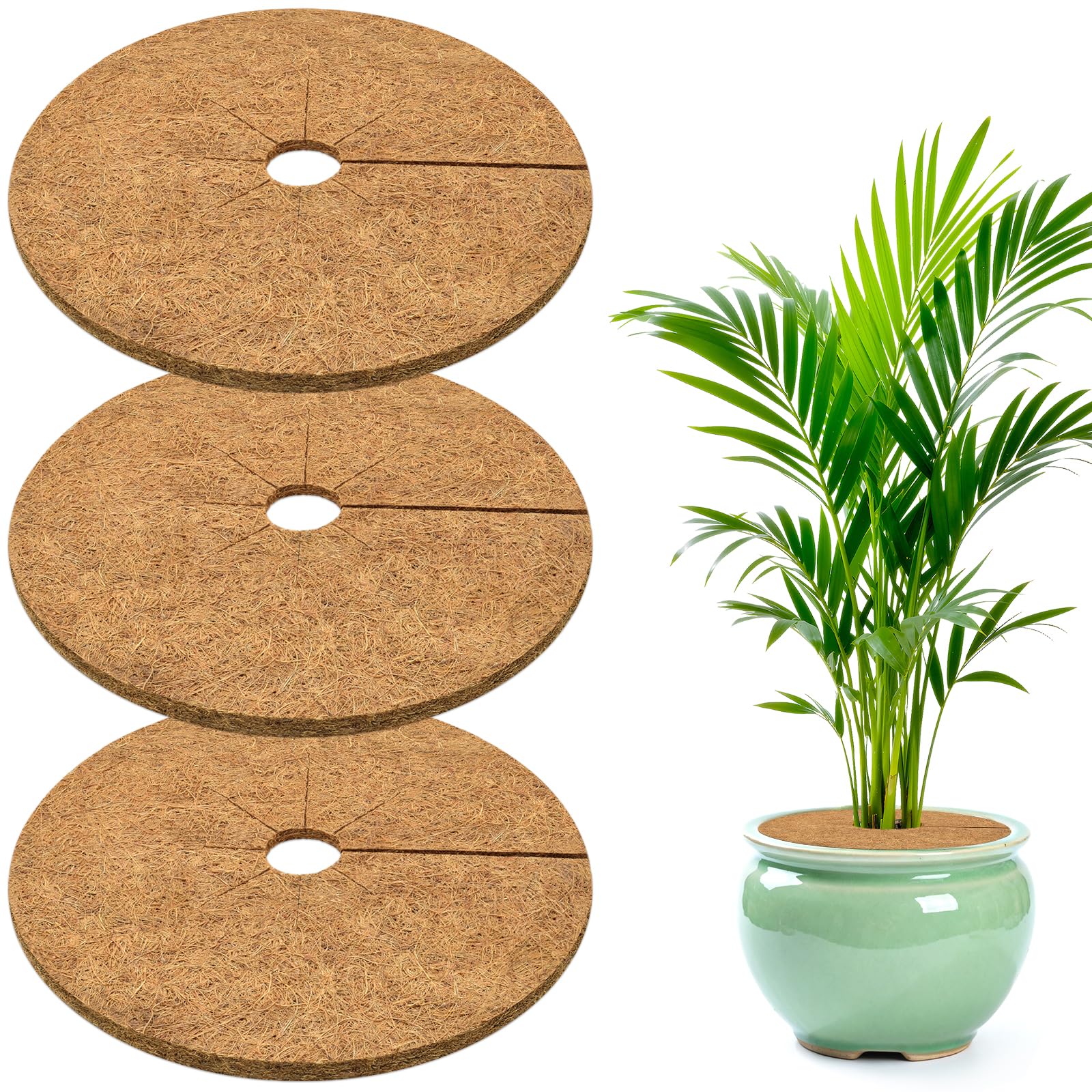 ZeeDix coconut fiber mulch ring 3-pack tidy potted plants and suppress weeds.