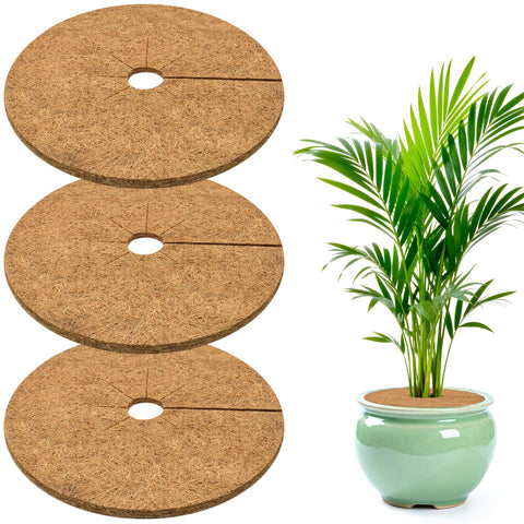 ZeeDix coconut fiber mulch ring 3-pack tidy potted plants and suppress weeds.