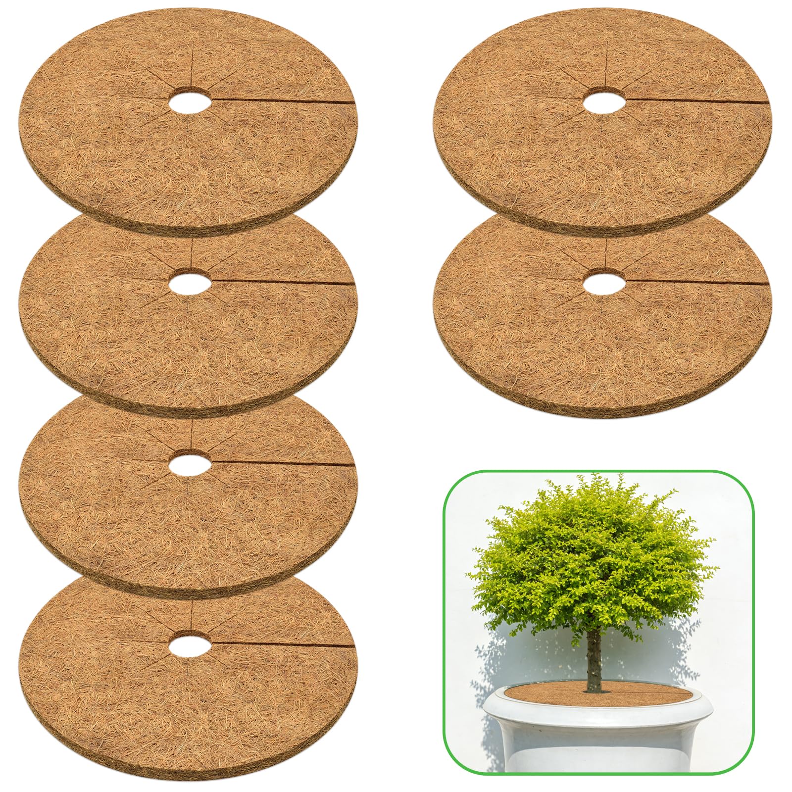 ZeeDix coconut fiber mulch ring 6-pack surrounds pot roots for weed suppression.