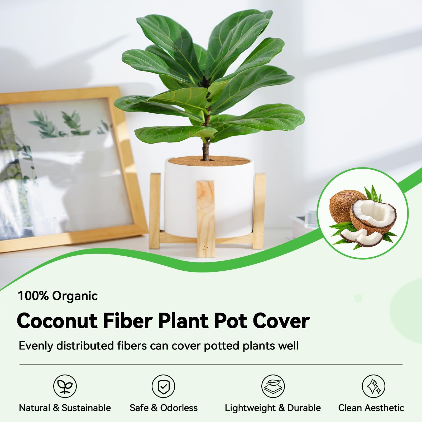 ZeeDix coir tree ring mat allows air and water to reach roots